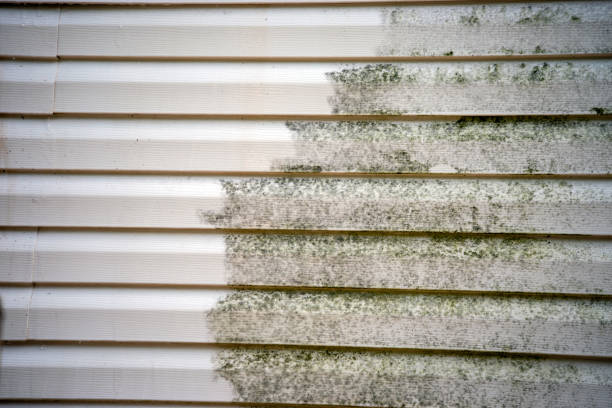 Best Siding Removal and Disposal  in Schertz, TX